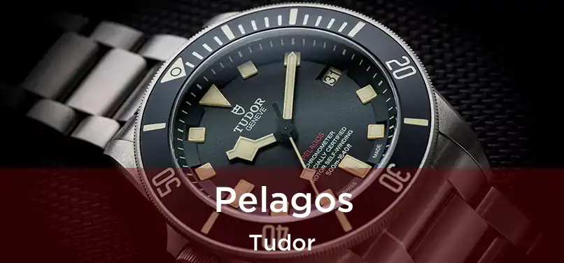  Pelagos Tudor