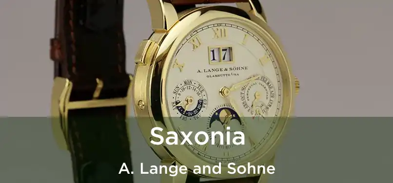 Saxonia A. Lange and Sohne